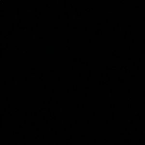 Meet your Posher, Hayden